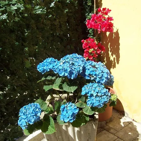 Le Divine - Reception Via Xxv Aprile 5 4* 레반토