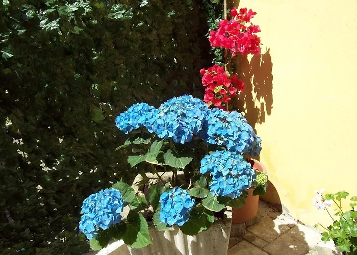 Le Divine - Reception Via Xxv Aprile 5 4* 레반토